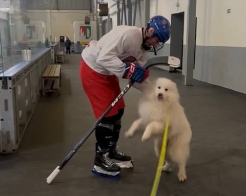 David Zmrhal s Luffym